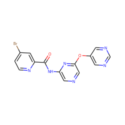 O=C(Nc1cncc(Oc2cncnc2)n1)c1cc(Br)ccn1 ZINC000299825590