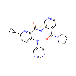 O=C(Nc1cnccc1C(=O)N1CCCC1)c1nc(C2CC2)ccc1Nc1cncnc1 ZINC000169701675