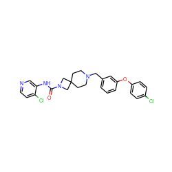 O=C(Nc1cnccc1Cl)N1CC2(CCN(Cc3cccc(Oc4ccc(Cl)cc4)c3)CC2)C1 ZINC000103260692