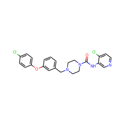 O=C(Nc1cnccc1Cl)N1CCN(Cc2cccc(Oc3ccc(Cl)cc3)c2)CC1 ZINC000653821168