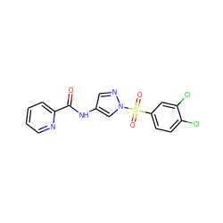 O=C(Nc1cnn(S(=O)(=O)c2ccc(Cl)c(Cl)c2)c1)c1ccccn1 ZINC000116776376