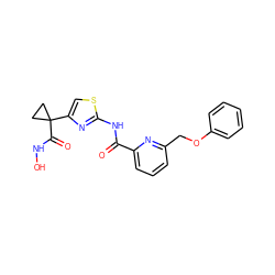 O=C(Nc1nc(C2(C(=O)NO)CC2)cs1)c1cccc(COc2ccccc2)n1 ZINC000028457766