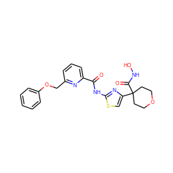 O=C(Nc1nc(C2(C(=O)NO)CCOCC2)cs1)c1cccc(COc2ccccc2)n1 ZINC000028462811