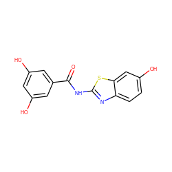 O=C(Nc1nc2ccc(O)cc2s1)c1cc(O)cc(O)c1 ZINC000095555934