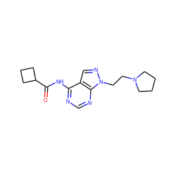 O=C(Nc1ncnc2c1cnn2CCN1CCCC1)C1CCC1 ZINC000143202413