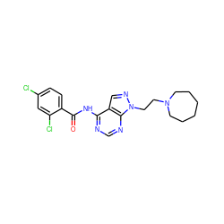 O=C(Nc1ncnc2c1cnn2CCN1CCCCCC1)c1ccc(Cl)cc1Cl ZINC000147768813