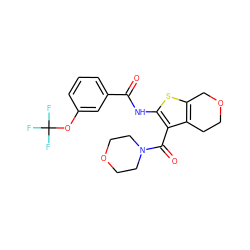 O=C(Nc1sc2c(c1C(=O)N1CCOCC1)CCOC2)c1cccc(OC(F)(F)F)c1 ZINC000095561704