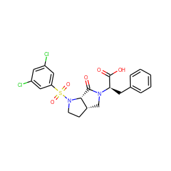 O=C(O)[C@@H](Cc1ccccc1)N1C[C@@H]2CCN(S(=O)(=O)c3cc(Cl)cc(Cl)c3)[C@@H]2C1=O ZINC000029128675