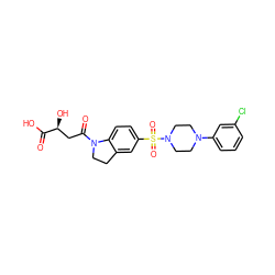 O=C(O)[C@@H](O)CC(=O)N1CCc2cc(S(=O)(=O)N3CCN(c4cccc(Cl)c4)CC3)ccc21 ZINC000118515055