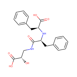 O=C(O)[C@@H](O)CNC(=O)[C@H](Cc1ccccc1)N[C@@H](Cc1ccccc1)C(=O)O ZINC000027856982