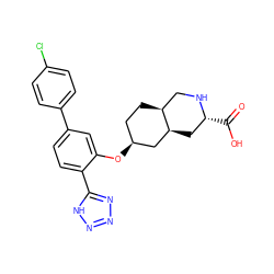 O=C(O)[C@@H]1C[C@H]2C[C@@H](Oc3cc(-c4ccc(Cl)cc4)ccc3-c3nnn[nH]3)CC[C@H]2CN1 ZINC000103279944