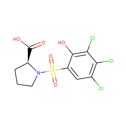 O=C(O)[C@@H]1CCCN1S(=O)(=O)c1cc(Cl)c(Cl)c(Cl)c1O ZINC000013687288