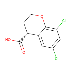 O=C(O)[C@@H]1CCOc2c(Cl)cc(Cl)cc21 ZINC000026486430