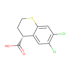 O=C(O)[C@@H]1CCSc2cc(Cl)c(Cl)cc21 ZINC000026485233