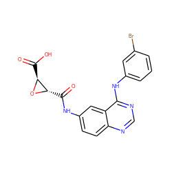 O=C(O)[C@@H]1O[C@H]1C(=O)Nc1ccc2ncnc(Nc3cccc(Br)c3)c2c1 ZINC000084632764