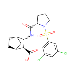 O=C(O)[C@H]1[C@H]2CC[C@@H](C2)[C@@H]1NC(=O)[C@@H]1CCCN1S(=O)(=O)c1cc(Cl)cc(Cl)c1 ZINC000101091317