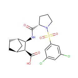 O=C(O)[C@H]1[C@H]2CC[C@@H](C2)[C@H]1NC(=O)[C@@H]1CCCN1S(=O)(=O)c1cc(Cl)cc(Cl)c1 ZINC000101105882