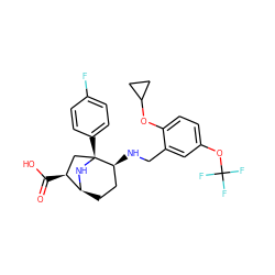 O=C(O)[C@H]1C[C@@]2(c3ccc(F)cc3)N[C@H]1CC[C@@H]2NCc1cc(OC(F)(F)F)ccc1OC1CC1 ZINC000101038109