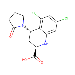 O=C(O)[C@H]1C[C@H](N2CCCC2=O)c2c(Cl)cc(Cl)cc2N1 ZINC000013455353