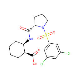 O=C(O)[C@H]1CCCC[C@H]1NC(=O)[C@@H]1CCCN1S(=O)(=O)c1cc(Cl)cc(Cl)c1 ZINC000028817876