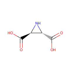 O=C(O)[C@H]1N[C@@H]1C(=O)O ZINC000013375248