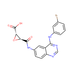 O=C(O)[C@H]1O[C@@H]1C(=O)Nc1ccc2ncnc(Nc3cccc(Br)c3)c2c1 ZINC000084632766