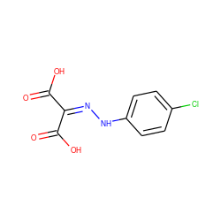 O=C(O)C(=NNc1ccc(Cl)cc1)C(=O)O ZINC000006535969