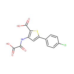 O=C(O)C(=O)Nc1cc(-c2ccc(Cl)cc2)sc1C(=O)O ZINC000013491456