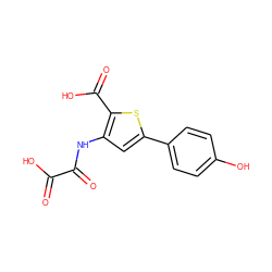 O=C(O)C(=O)Nc1cc(-c2ccc(O)cc2)sc1C(=O)O ZINC000013491457