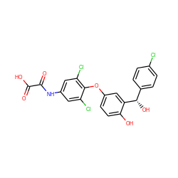 O=C(O)C(=O)Nc1cc(Cl)c(Oc2ccc(O)c([C@@H](O)c3ccc(Cl)cc3)c2)c(Cl)c1 ZINC000013602438