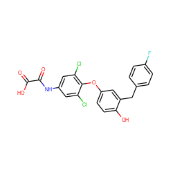 O=C(O)C(=O)Nc1cc(Cl)c(Oc2ccc(O)c(Cc3ccc(F)cc3)c2)c(Cl)c1 ZINC000013602434