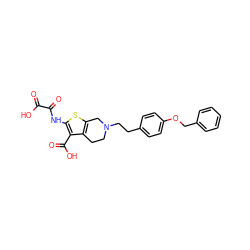 O=C(O)C(=O)Nc1sc2c(c1C(=O)O)CCN(CCc1ccc(OCc3ccccc3)cc1)C2 ZINC000013491487