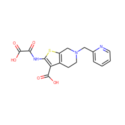 O=C(O)C(=O)Nc1sc2c(c1C(=O)O)CCN(Cc1ccccn1)C2 ZINC000013491480