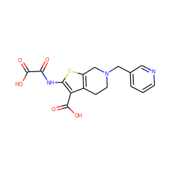 O=C(O)C(=O)Nc1sc2c(c1C(=O)O)CCN(Cc1cccnc1)C2 ZINC000013491481