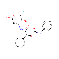 O=C(O)C[C@@H](NC(=O)[C@@H](OC(=O)Nc1ccccc1)C1CCCCC1)C(=O)CF ZINC000028330895