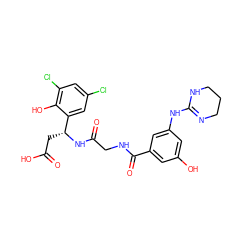 O=C(O)C[C@@H](NC(=O)CNC(=O)c1cc(O)cc(NC2=NCCCN2)c1)c1cc(Cl)cc(Cl)c1O ZINC000089780961