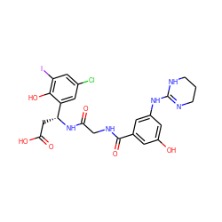 O=C(O)C[C@@H](NC(=O)CNC(=O)c1cc(O)cc(NC2=NCCCN2)c1)c1cc(Cl)cc(I)c1O ZINC000096318555