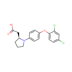 O=C(O)C[C@@H]1CCCN1c1ccc(Oc2ccc(Cl)cc2Cl)cc1 ZINC000116590703