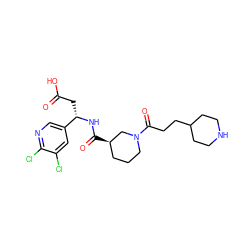 O=C(O)C[C@H](NC(=O)[C@@H]1CCCN(C(=O)CCC2CCNCC2)C1)c1cnc(Cl)c(Cl)c1 ZINC000013803234