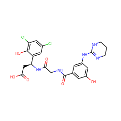 O=C(O)C[C@H](NC(=O)CNC(=O)c1cc(O)cc(NC2=NCCCN2)c1)c1cc(Cl)cc(Cl)c1O ZINC000096318556