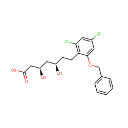 O=C(O)C[C@H](O)C[C@H](O)CCc1c(Cl)cc(Cl)cc1OCc1ccccc1 ZINC000029328481