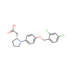 O=C(O)C[C@H]1CCCN1c1ccc(OCc2ccc(Cl)cc2Cl)cc1 ZINC000116590214