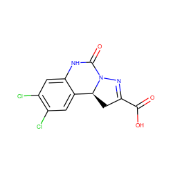 O=C(O)C1=NN2C(=O)Nc3cc(Cl)c(Cl)cc3[C@@H]2C1 ZINC000013472605