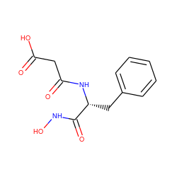 O=C(O)CC(=O)N[C@H](Cc1ccccc1)C(=O)NO ZINC000029485501