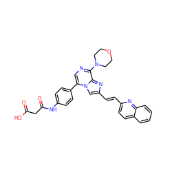 O=C(O)CC(=O)Nc1ccc(-c2cnc(N3CCOCC3)c3nc(/C=C/c4ccc5ccccc5n4)cn23)cc1 ZINC001772574748