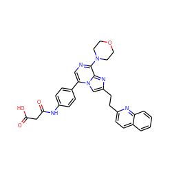 O=C(O)CC(=O)Nc1ccc(-c2cnc(N3CCOCC3)c3nc(CCc4ccc5ccccc5n4)cn23)cc1 ZINC001772620952