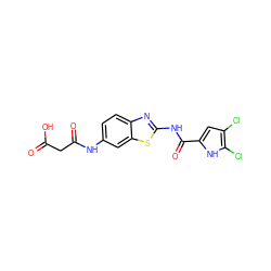 O=C(O)CC(=O)Nc1ccc2nc(NC(=O)c3cc(Cl)c(Cl)[nH]3)sc2c1 ZINC001772640031