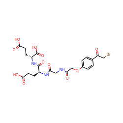 O=C(O)CC[C@H](NC(=O)CNC(=O)COc1ccc(C(=O)CBr)cc1)C(=O)N[C@H](CCC(=O)O)C(=O)O ZINC000026829744