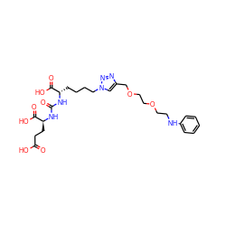 O=C(O)CC[C@H](NC(=O)N[C@@H](CCCCn1cc(COCCOCCNc2ccccc2)nn1)C(=O)O)C(=O)O ZINC000114096600