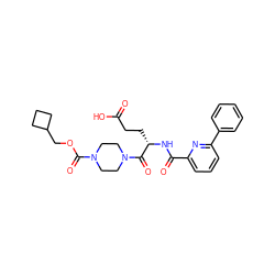 O=C(O)CC[C@H](NC(=O)c1cccc(-c2ccccc2)n1)C(=O)N1CCN(C(=O)OCC2CCC2)CC1 ZINC000045356556